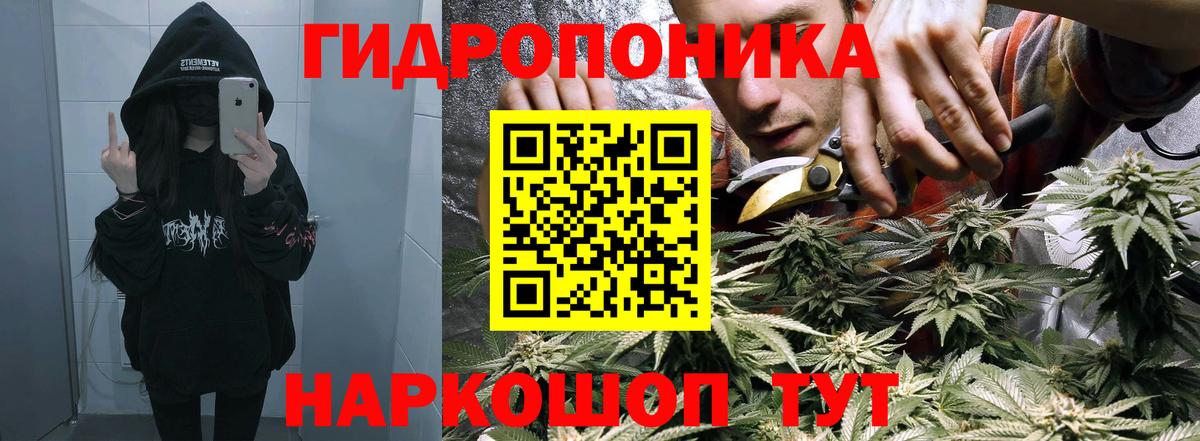 Бошки марихуана MAZAR  Конопля марихуана  Балашиха  Вход с VPN 